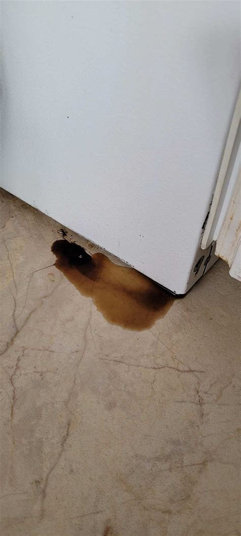 Brown Liquid Leaking From Fridge