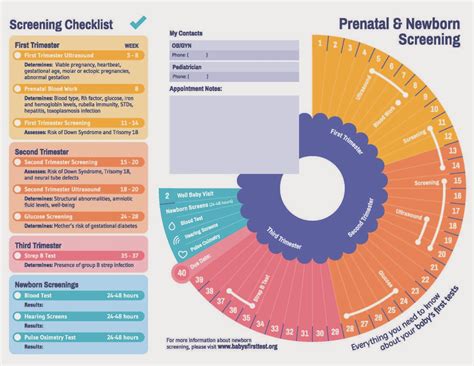 MCADD for Moms: Prenatal and Newborn Screening Timeline