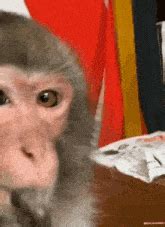 Image result for Return On JavaScript