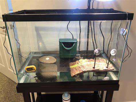 Thoughts on 20 gallon tall musk turtle tank : r/turtle