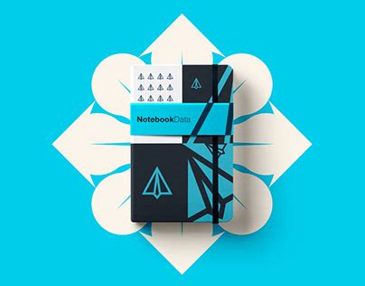 Data Notebook 的图像结果