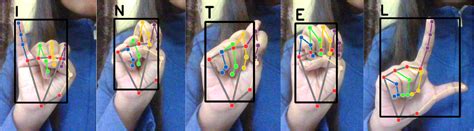 Image result for Random Forest Algorithm Used for Sign Language Detection