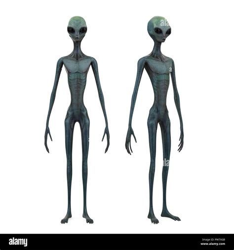 Image result for Alien Film Creature