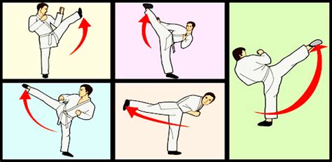 Image result for Karate Tutorial