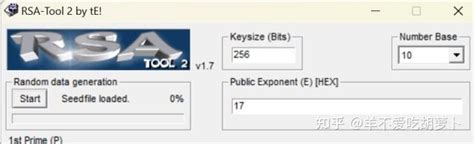 How to Pull RSA Token From EXEFile 的图像结果