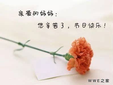 2018年母亲节最新祝福语大全 母亲节发给妈妈奶奶的祝福语|母亲节|母亲|祝福语_新浪新闻