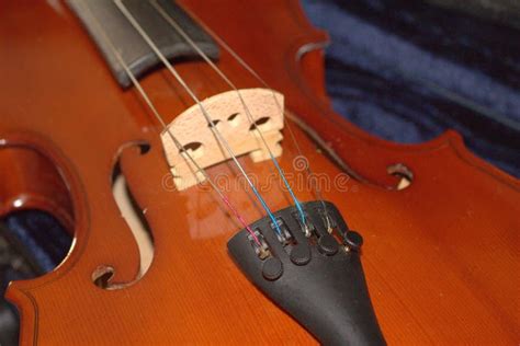 Stringed Instruments 的图像结果