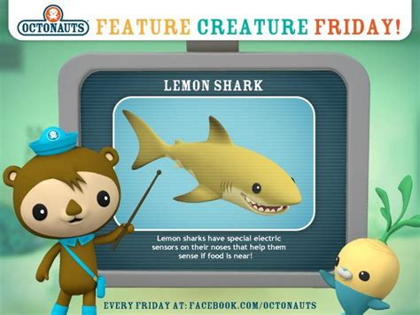 Image result for Octonauts Lobster