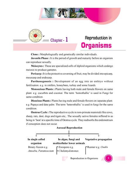 Image result for Bio Chap 20 Reproduction Class 12