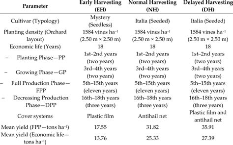 Local Production Models 的图像结果