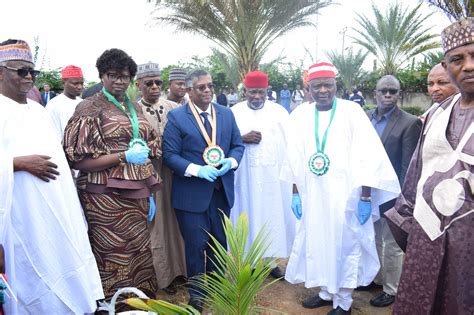 HCI, Abuja & Mewar International University organised tree plantation ...