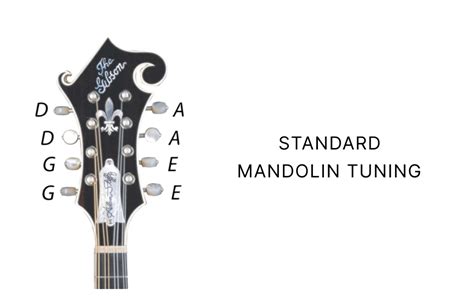 Image result for Mandolin Tuning Notes