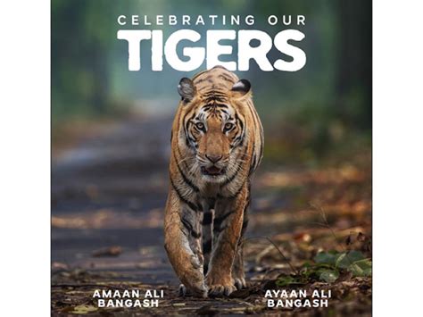 Amaan Ali Bangash, Ayaan Ali Bangash announce new album 'Celebrating ...