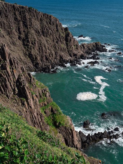 Visite nature de l'île de Grand Manan, la perle du Nouveau Brunswick