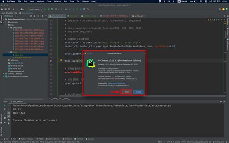 Pyautogui Library 的图像结果
