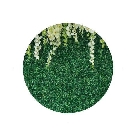 Renaiss 6x6ft Green Wall Round Backdrop for | Ubuy India