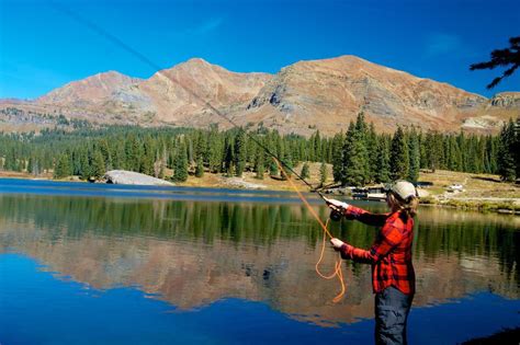 Fly Fish 的图像结果