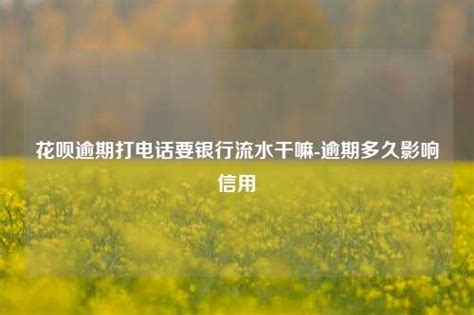 哭晕！以前首付、流水查得有多严，现在就有多松……_腾讯新闻