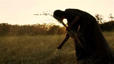 Beginning of Farming 的图像结果