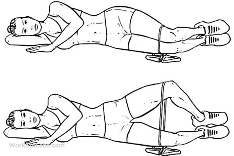 Image result for Clamshell Exercise