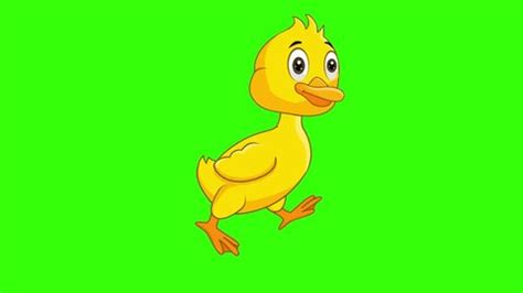Color Duck Video for Kids 的图像结果