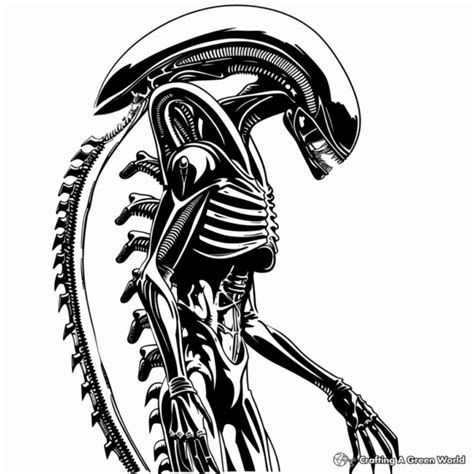 Alien Xenomorph Coloring Pages 的图像结果