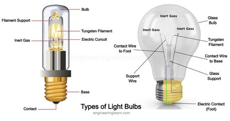 Image result for Types of Light Bulbs Explained