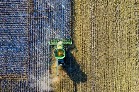 The hidden cost of agrifood is $10 trillion, finds the FAO | World Economic Forum