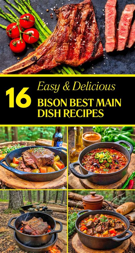 16 Best Bison Main Dish Recipes