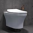 Kohler Spacity Wall Mounted Toilet | Rimless Western Toilet with Anti ...