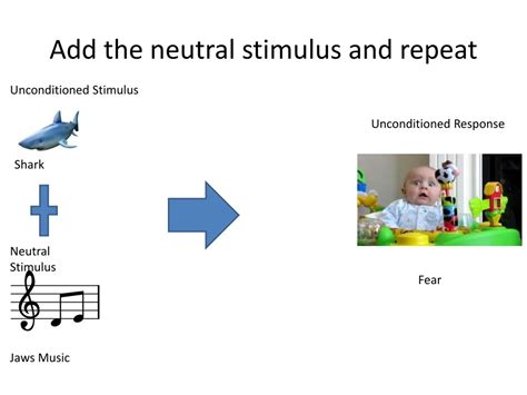 PPT - Classical Conditioning PowerPoint Presentation, free download ...