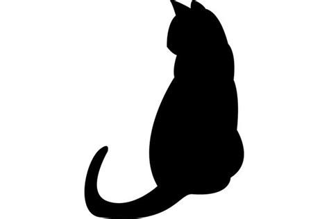 Sanjati CRNU MAČKU – detaljno tumačenje – – COVERmagazin.com