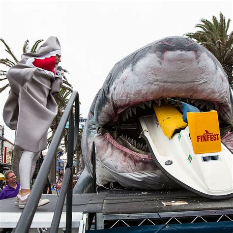 Megalodon Shark Still Alive Proof