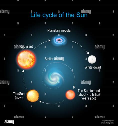 Life cycle of The Sun from Stellar nebula, to Red giant, Planetary ...