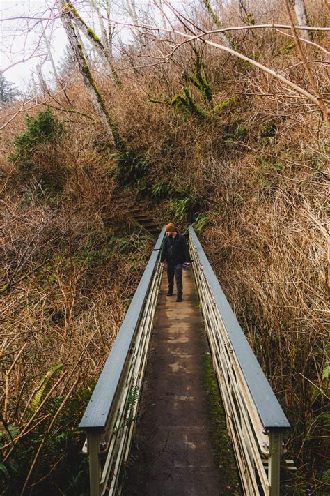Cascade Head Trail Guide: Hike the Oregon Coast