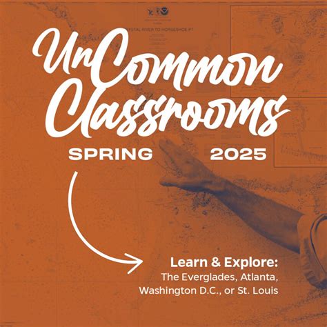 UF Honors Program | Congratulations, Class of 2025! 🎓🎉 During yesterday ...