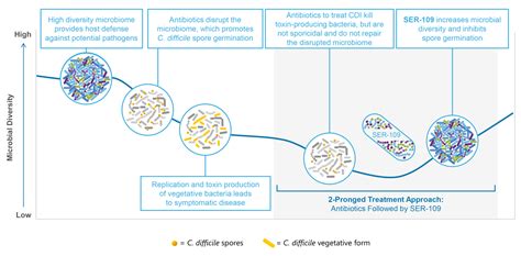 SER-109: An Oral Investigational Microbiome Therapeutic for Patients with Recurrent ...