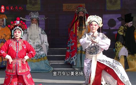 豫东调《杨文广表家》，杨晓晓演唱，非常耐听的一折传统折子戏！_哔哩哔哩_bilibili