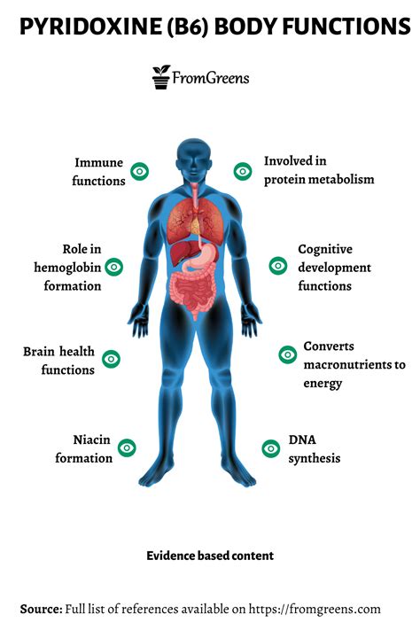 Benefits of B6 的图像结果