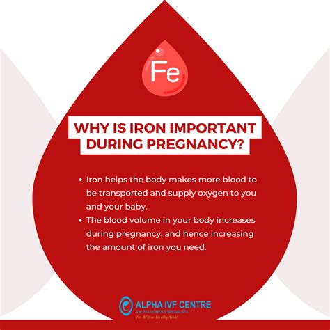 Why is iron important during pregnancy?