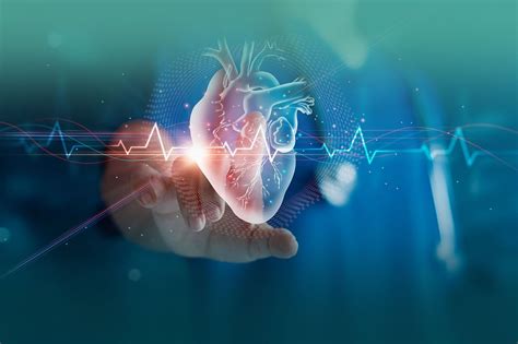 Non-Invasive Cardiology 的图像结果