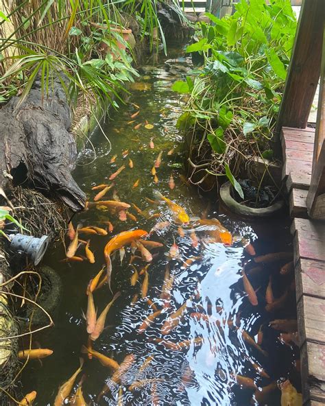 Oasis guest house (@oasis.guesthouse) • Instagram photos and videos