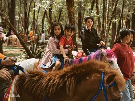 3D2N Baguio City Tour Package-From Manila (SHARED) - Klook India