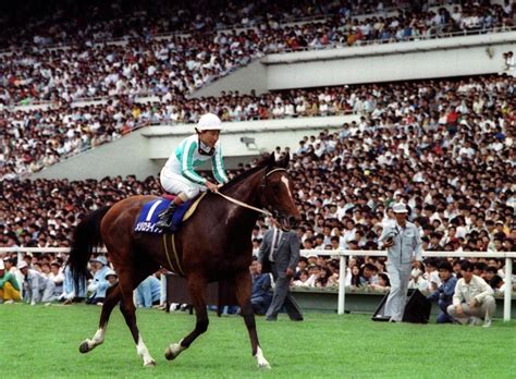 91年宝塚記念馬メジロライアンが死亡/競馬・レース/デイリースポーツ online