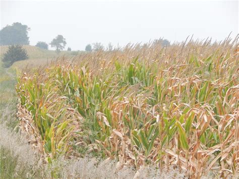 Farmland Prices News