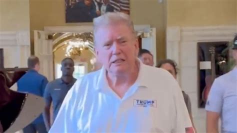 Donald Trump's 'hat hair' sends fans into frenzy as incoming president ...