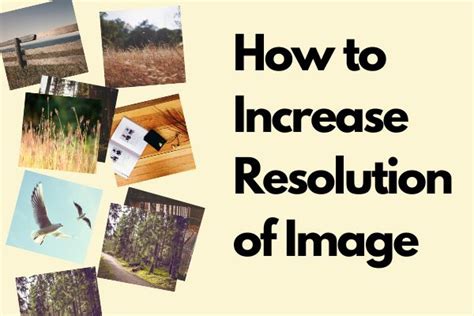 How to Increase Resolution of Image + 5 Online Photo Enhancers | Photo ...