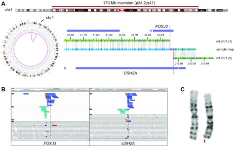 Image result for Abstract Methods of Collection Framework