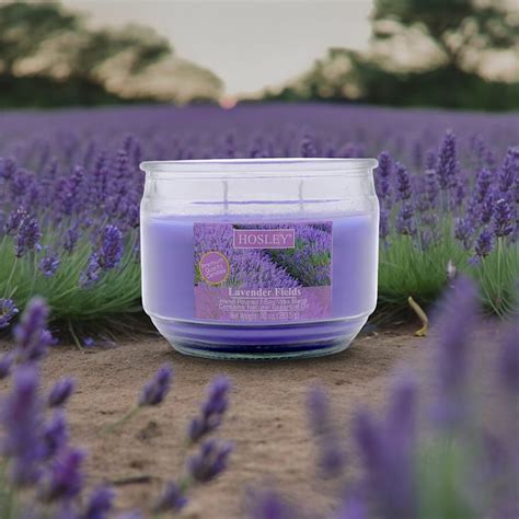 Buy HOSLEY Lavender Fields Scented Jar Candle from Hosley at just INR 800.0