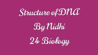 DNA Transformation Class 12 的图像结果